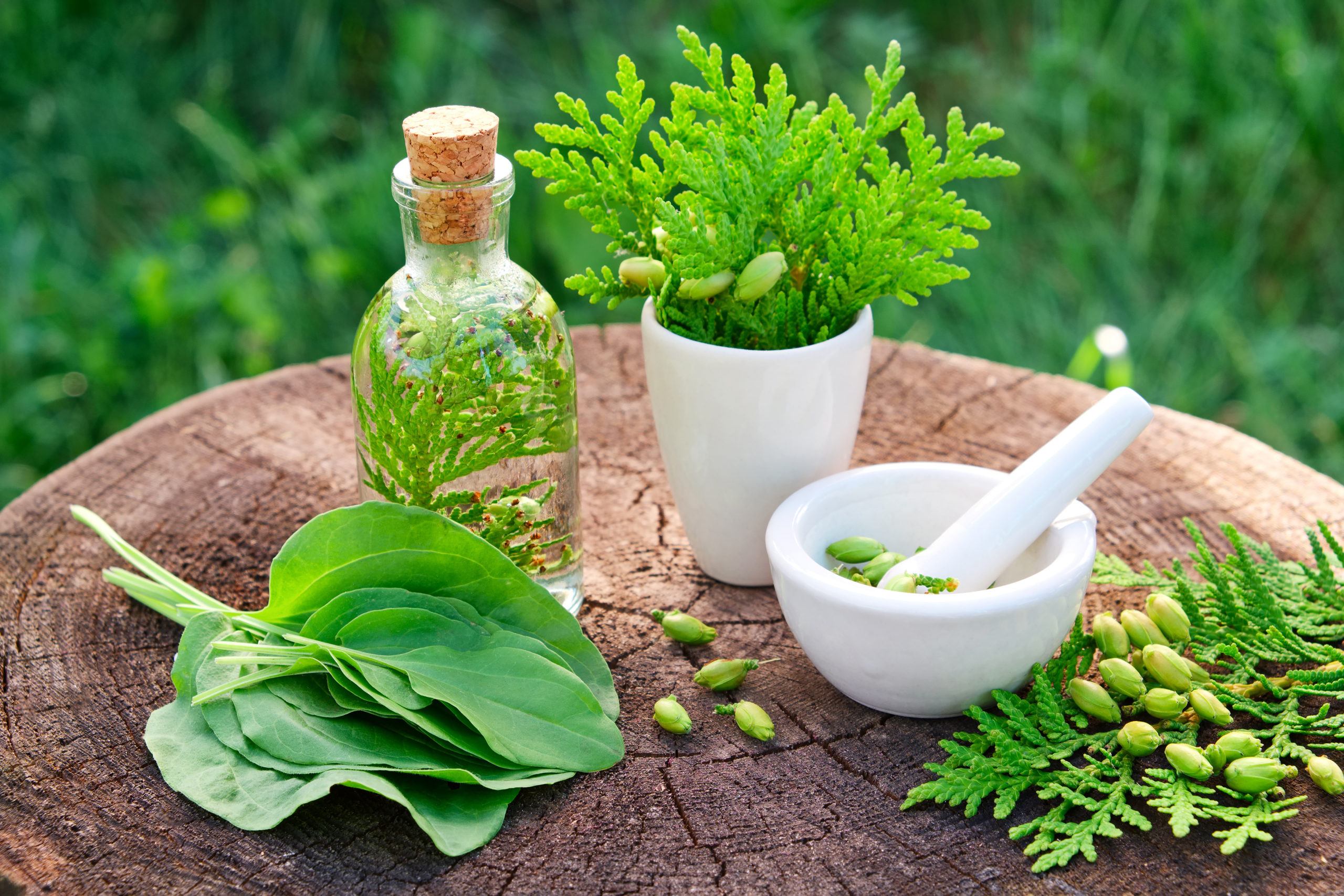 Alternative medicine and herbs