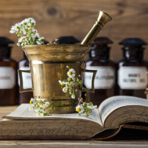 تاريخ طب الأعشاب | دبلومة الطب البديل
