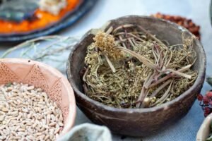 دبلومة طب الأعشاب