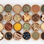 كيف أصبح أخصائي أعشاب